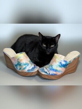 Never Worn Jessica Simpson "Shantelle"  Watercolor Slide Wedge Sandal